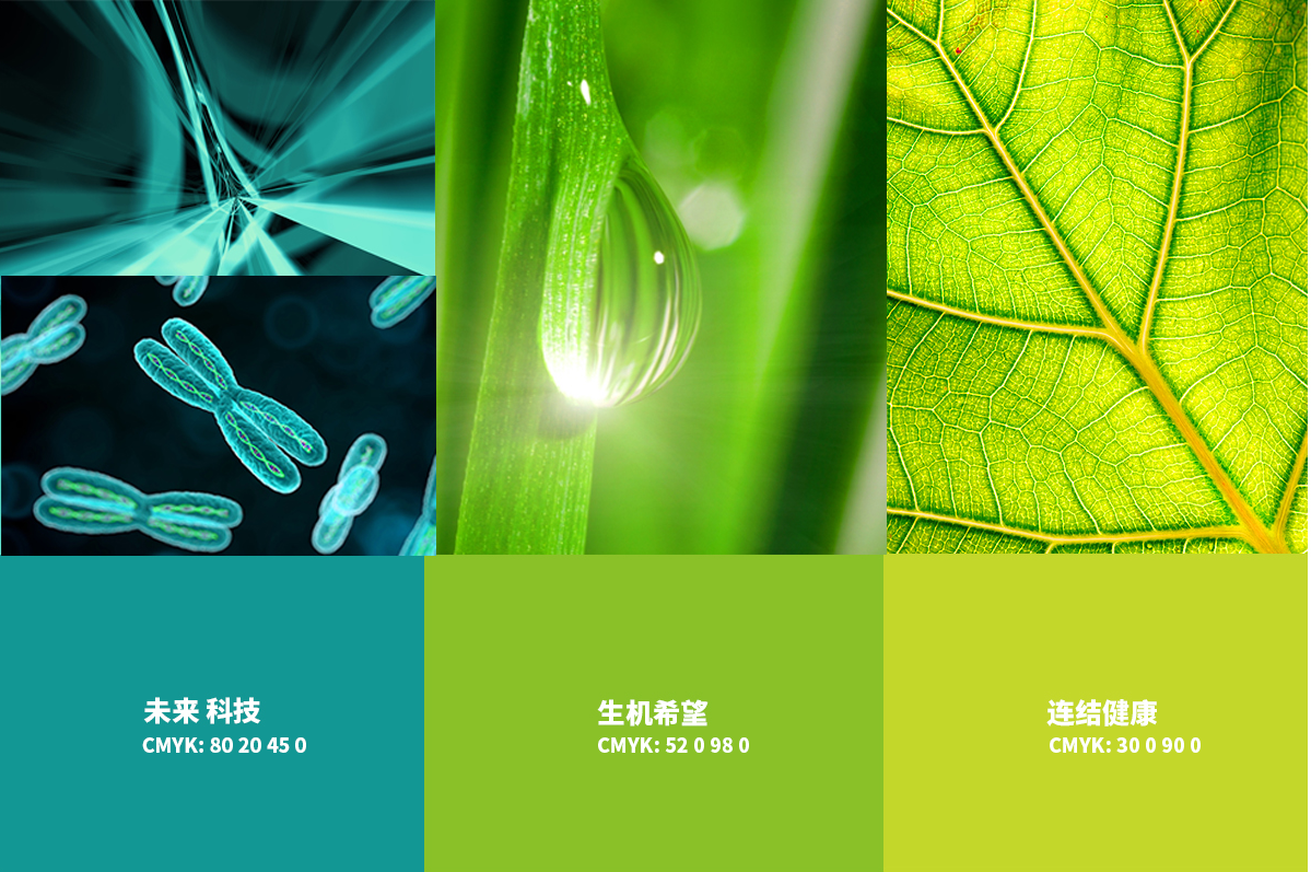 品牌案例-2-內(nèi)頁（哈爾濱仁薩醫(yī)院）_07.png