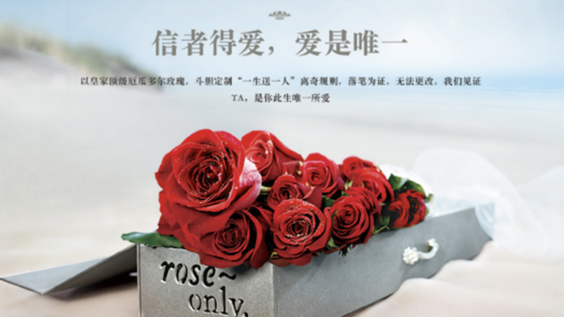 roseonly 花店品牌設(shè)計(jì) 花店vi設(shè)計(jì) 花店logo設(shè)計(jì).jpg roseonly 花店品牌設(shè)計(jì) 花店vi設(shè)計(jì) 花店logo設(shè)計(jì).jpg