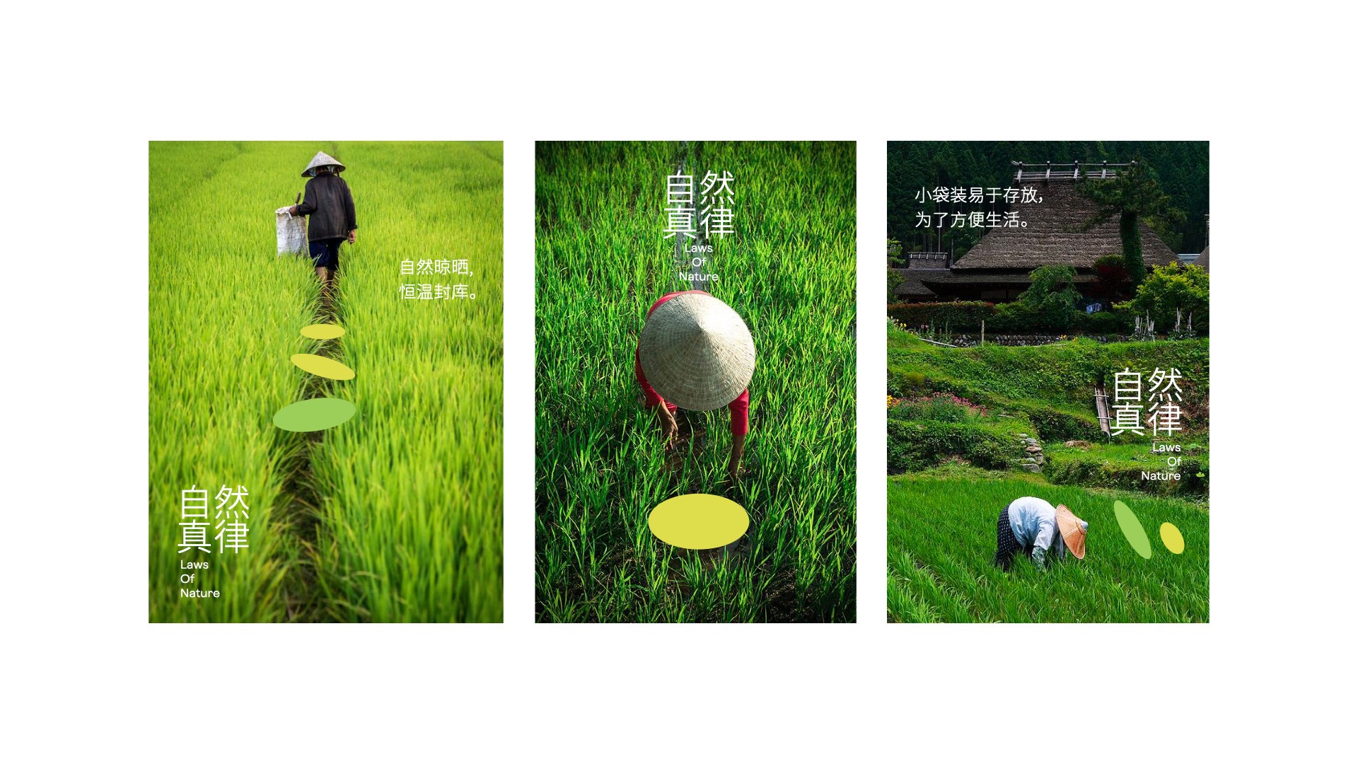 一方耘vi設(shè)計(jì)_雜糧海報設(shè)計(jì).jpg